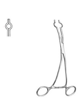 Cardiovascular Surgery  